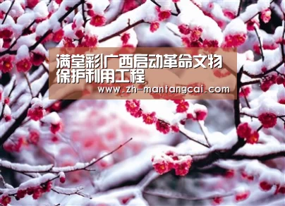 满堂彩|广西启动革命文物保护利用工程(图3) 满堂彩