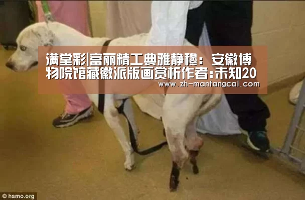 满堂彩