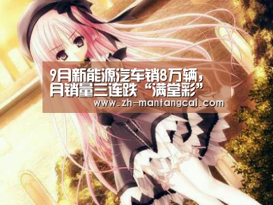 9月新能源汽车销8万辆,月销量三连跌“满堂彩”(图1) 满堂彩