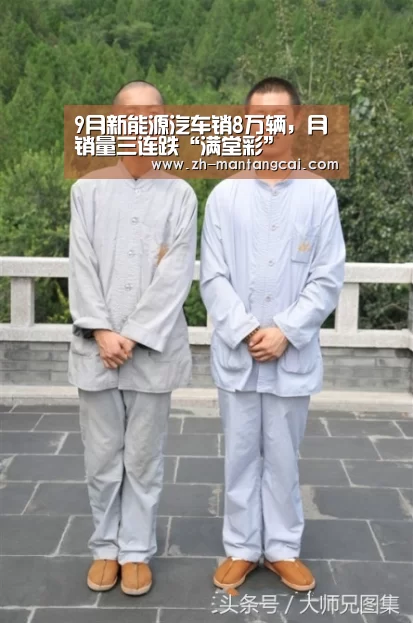 9月新能源汽车销8万辆,月销量三连跌“满堂彩”(图2) 满堂彩